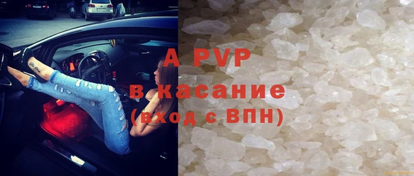 индика Алексин