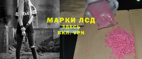 индика Алексин