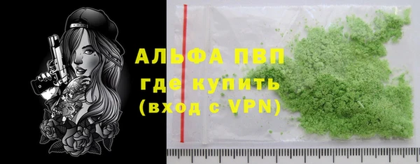 индика Алексин