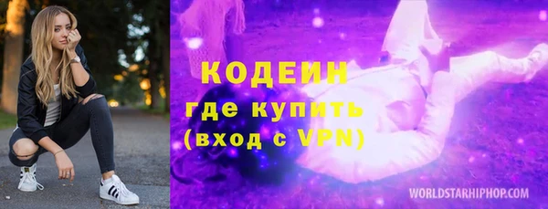 индика Алексин