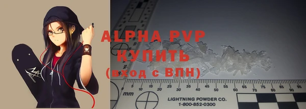 индика Алексин