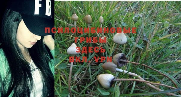 индика Алексин